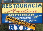 Promocja